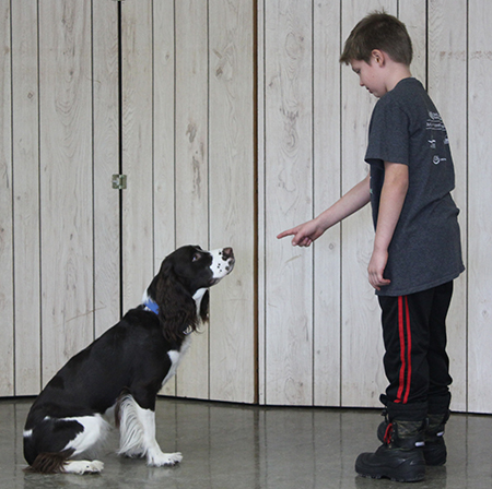 Sebastian Kotilinek does a demonstration with his dog, Ace.